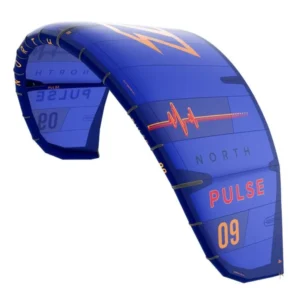 PULSE 2021
